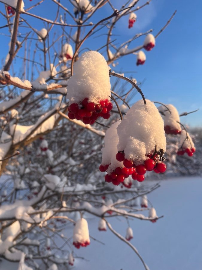 Wasser-Schneeball